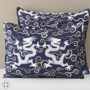 🐉Williams Sonoma🐉1 Schumacher Bixi Print Standard Sham